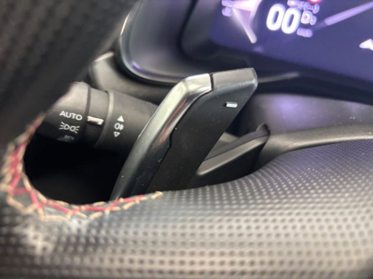 Ds DS 7 1.5 bluehdi Opera 130cv auto (20)