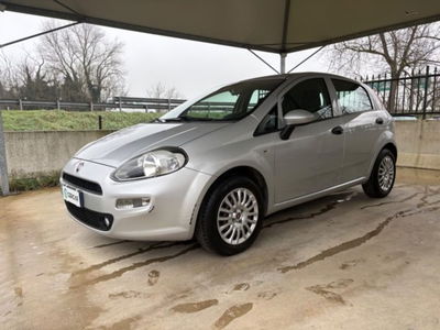 Fiat Punto 1.2 8V 5 porte Street usata