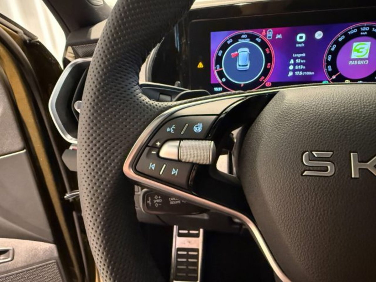 Skoda Kodiaq 2.0 tdi evo Sportline 4x4 193cv dsg (11)