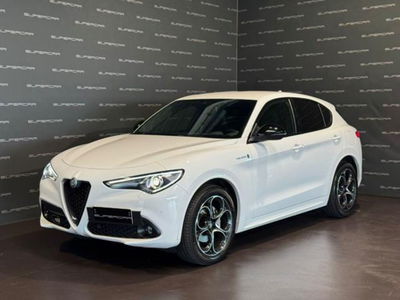 Alfa Romeo Stelvio Stelvio 2.2 Turbodiesel 210 CV AT8 Q4 Veloce usata