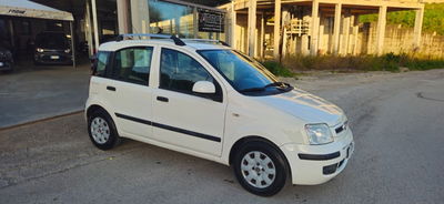 Fiat Panda 1.2 Dynamic usata