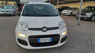 Fiat Panda 1.2 Pop usata