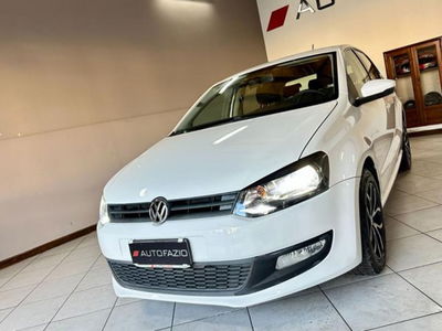Volkswagen Polo 1.2 TDI DPF 5 p. Comfortline usata