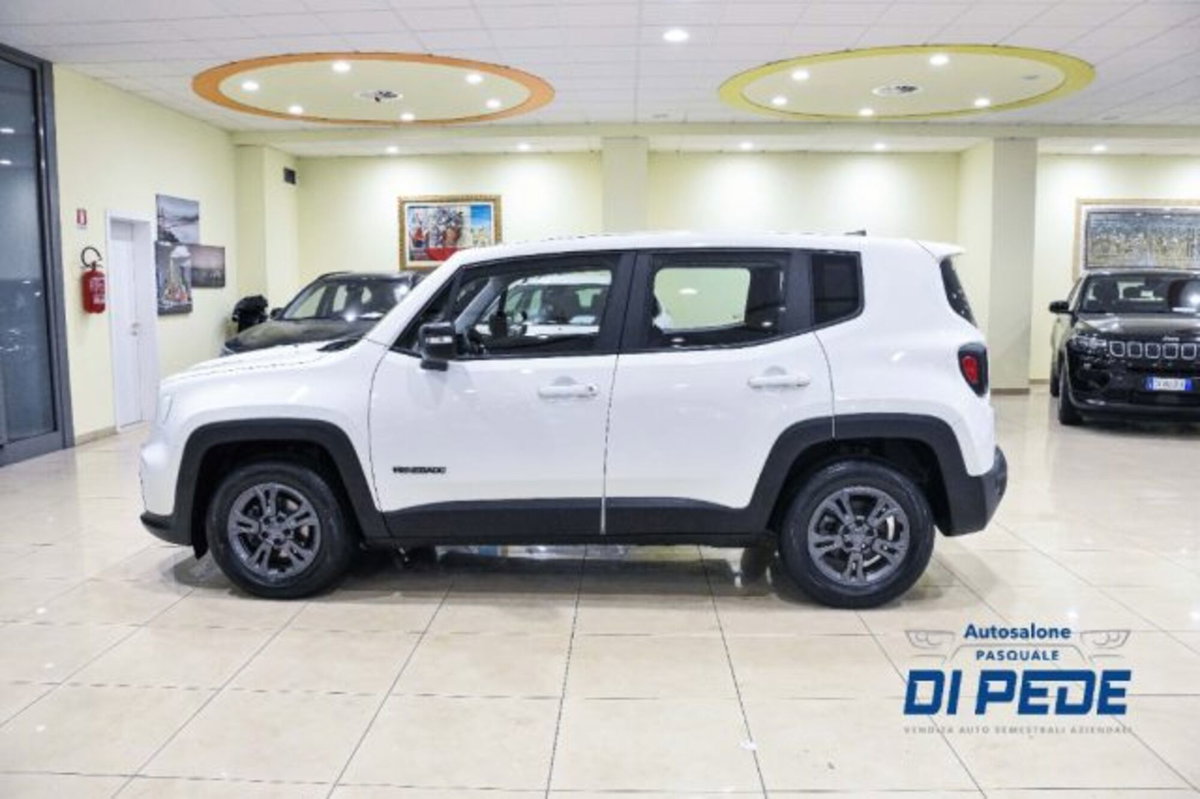 Jeep Renegade 1.0 T3 Longitude (7)