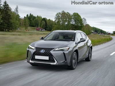 Lexus UX Full Electric Luxury usata