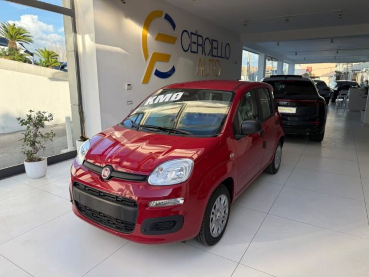 Fiat Panda 1.0 firefly hybrid s&s 70cv 5p.ti (2)
