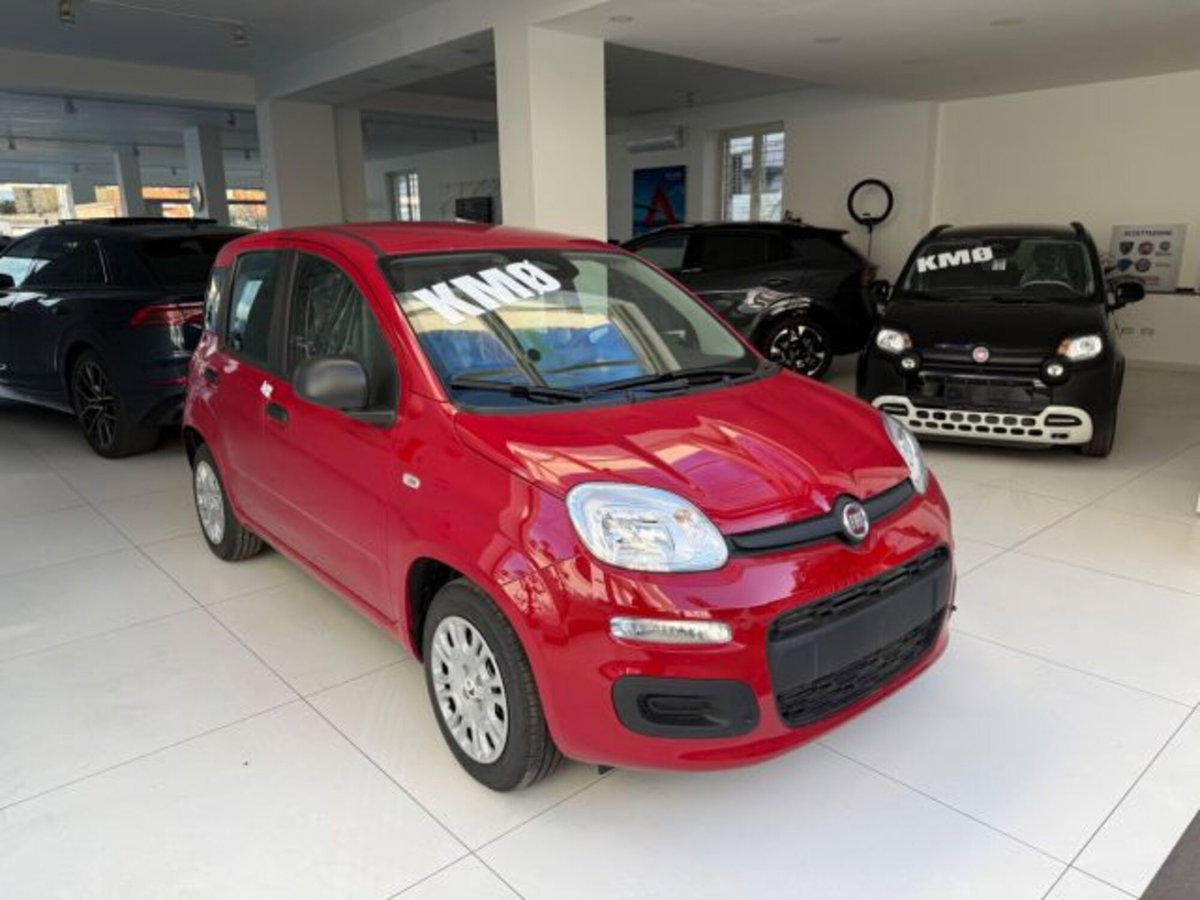 Fiat Panda 1.0 firefly hybrid s&s 70cv 5p.ti (3)