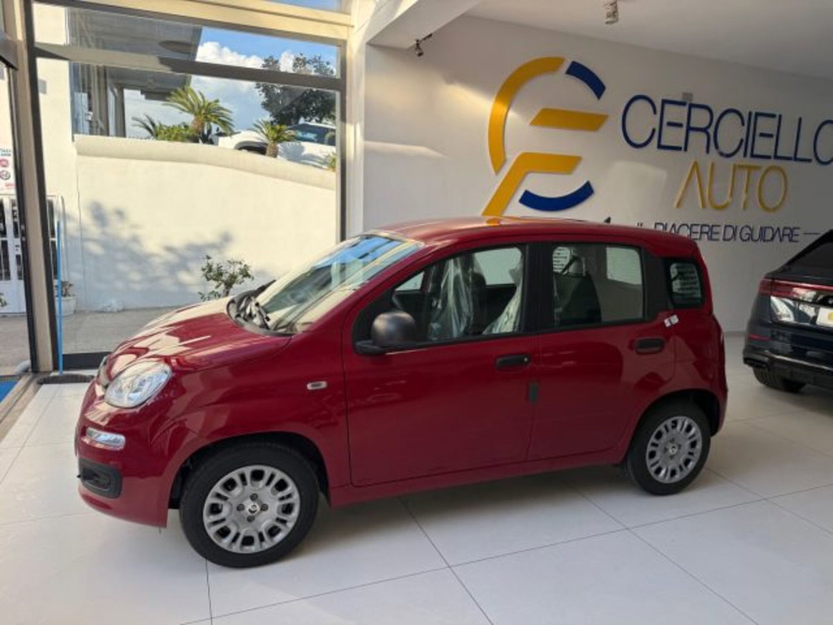 Fiat Panda 1.0 firefly hybrid s&s 70cv 5p.ti (4)