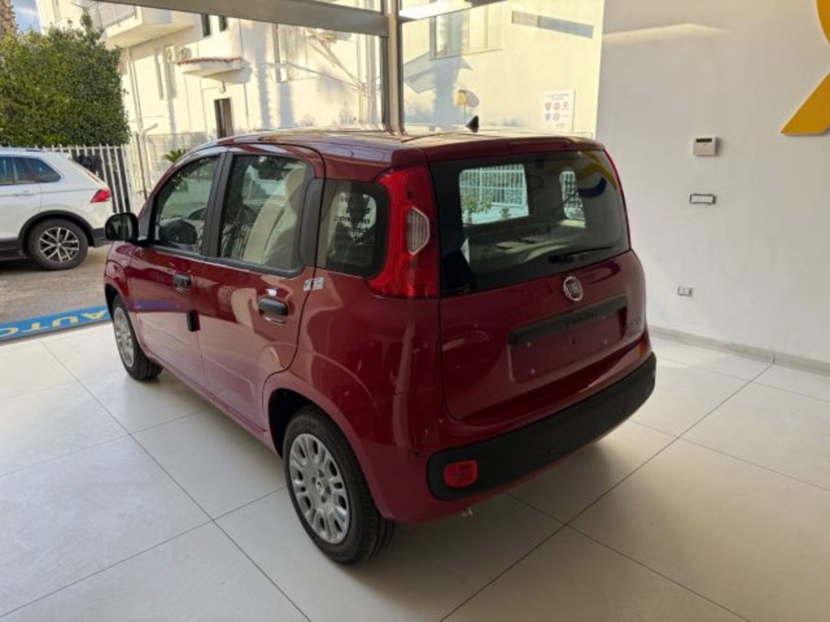 Fiat Panda 1.0 firefly hybrid s&s 70cv 5p.ti (7)
