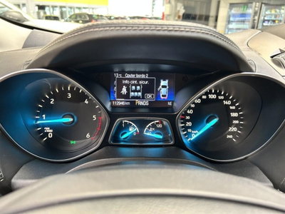 Ford Kuga 2.0 TDCI 180 CV S&S 4WD Powershift Vignale (9)