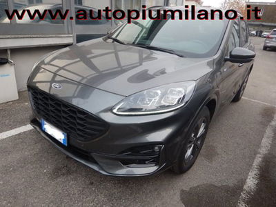 Ford Kuga 2.5 Plug In Hybrid 225 CV CVT 2WD ST-Line usata