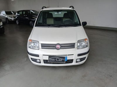 Fiat Panda 1.2 Dynamic GPL usata