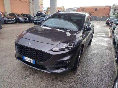 Ford Kuga 1.5 EcoBlue 120 CV 2WD ST-Line usata