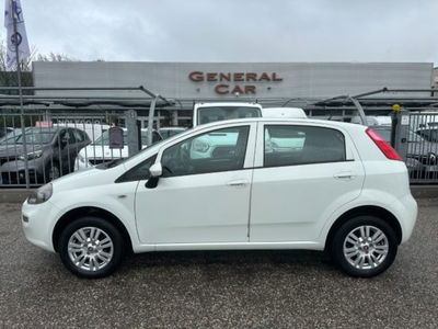 Fiat Punto 1.4 8V 5 porte Natural Power Lounge usata