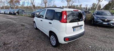 Fiat Panda 1.0 FireFly S&S Hybrid City Cross (3)