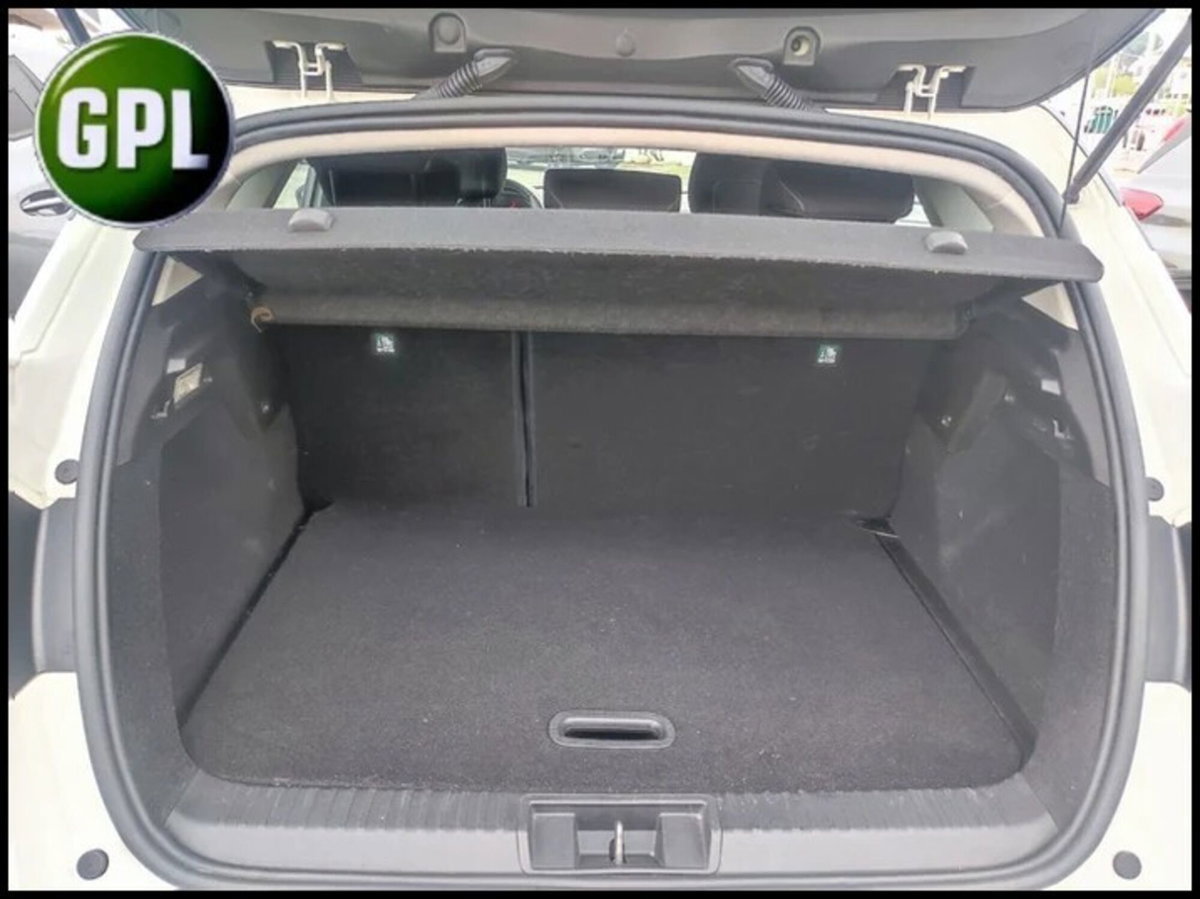 Renault Captur TCe 100 CV GPL FAP Zen (20)