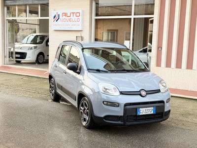 Fiat Panda 1.0 FireFly S&S Hybrid City Life usata