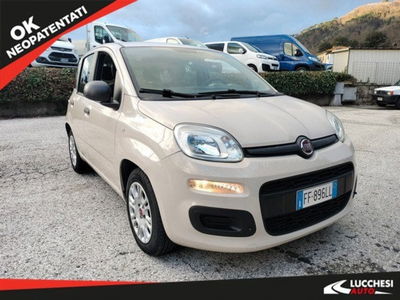Fiat Panda 1.2 Easy usata