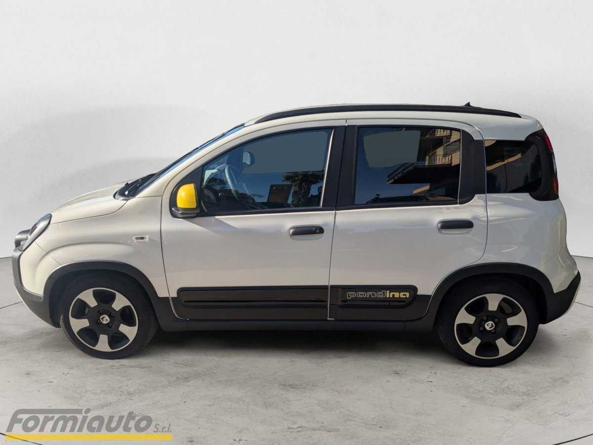 Fiat Panda Cross Cross 1.0 FireFly S&S Hybrid (4)