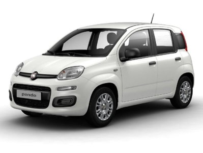 Fiat Panda 1.0 firefly hybrid Pop s&s 70cv nuova