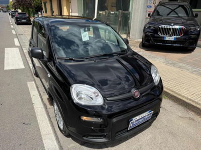 Fiat Panda 1.0 firefly hybrid s&s 70cv 5p.ti usata