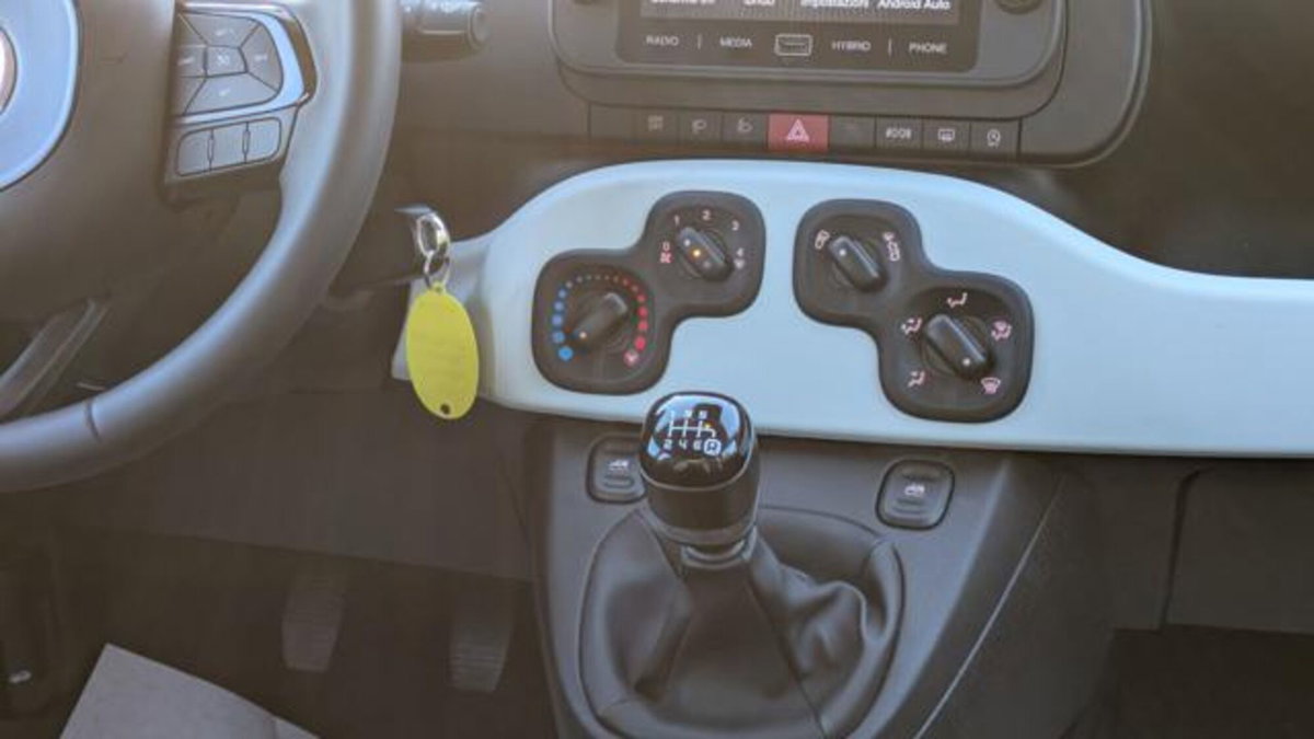 Fiat Panda Cross 1.0 firefly hybrid Cross s&s 70cv 5p.ti (10)