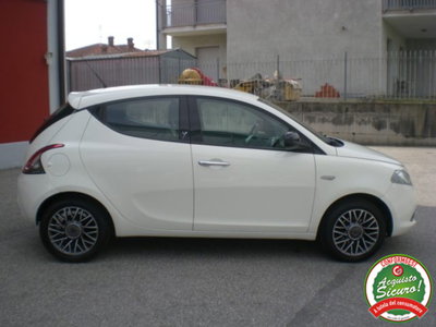 Lancia Ypsilon 1.3 MJT 16V 95 CV 5 porte S&S Gold (8)