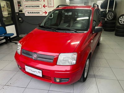 Fiat Panda 1.1 Active usata