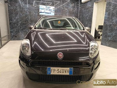 Fiat Punto 1.2 8V 5 porte Street usata