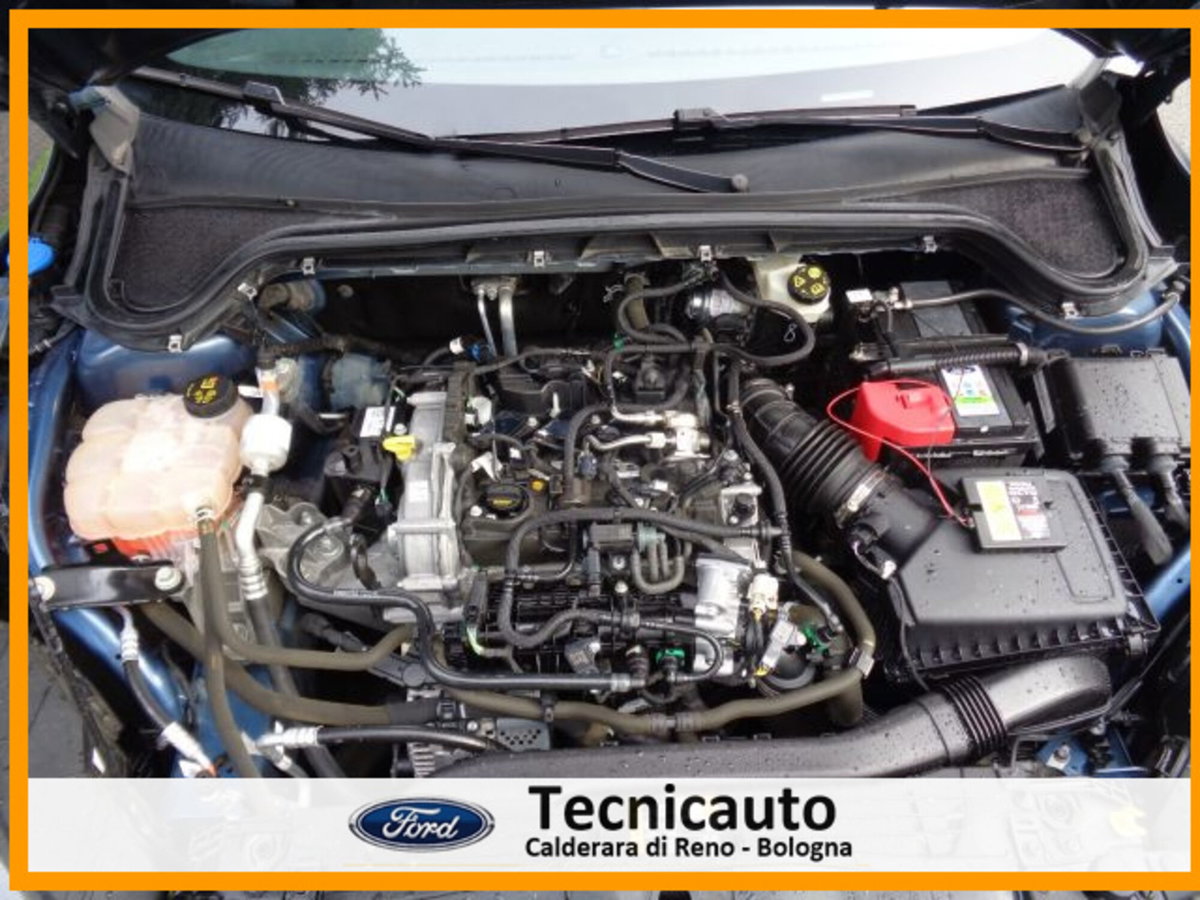 Ford Focus Station Wagon 1.0 EcoBoost Hybrid 125 CV SW ST-Line (19)