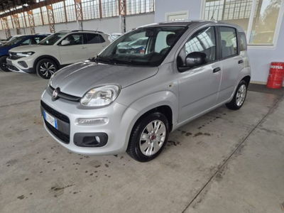 Fiat Panda 1.2 Easy usata