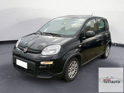 Fiat Panda Cross Cross 1.0 FireFly S&S Hybrid usata