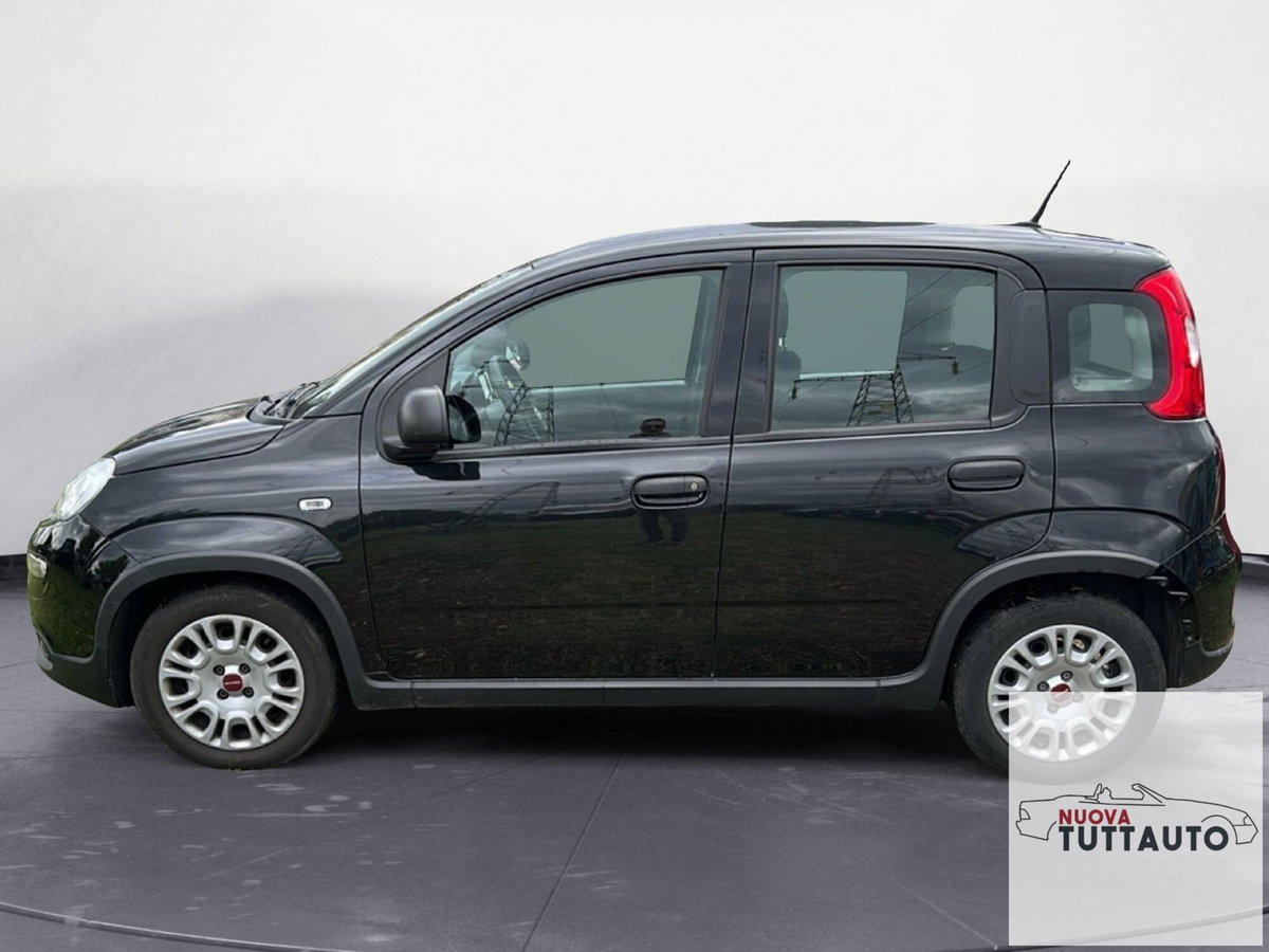 Fiat Panda Cross Cross 1.0 FireFly S&S Hybrid (2)