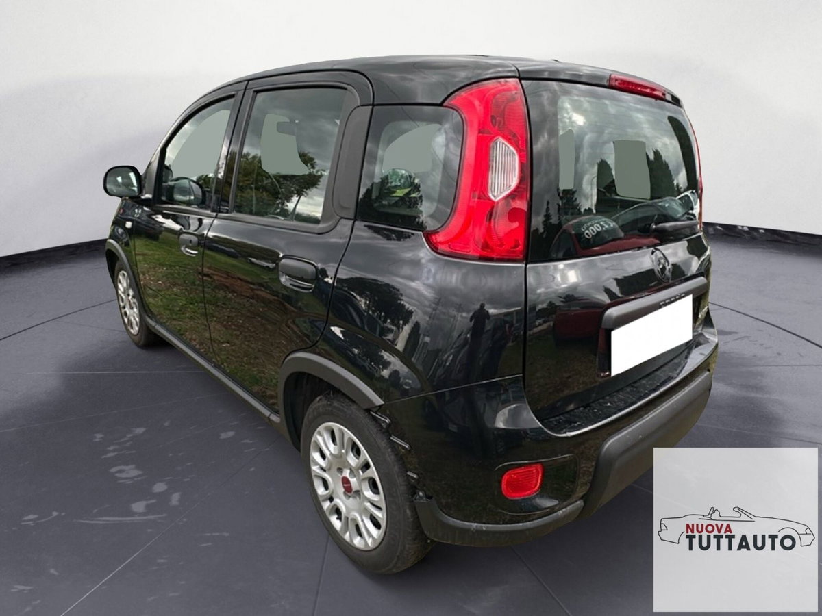 Fiat Panda Cross Cross 1.0 FireFly S&S Hybrid (4)