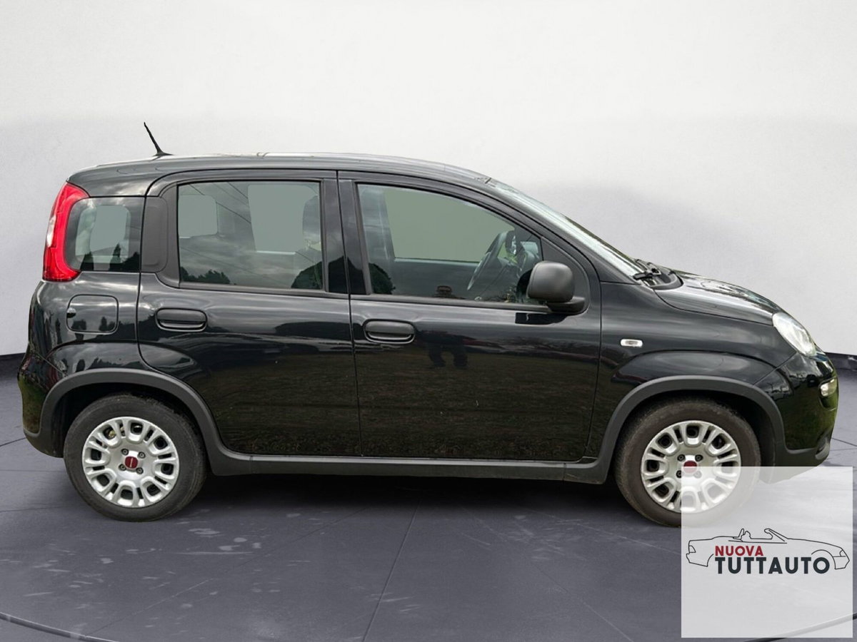 Fiat Panda Cross Cross 1.0 FireFly S&S Hybrid (6)