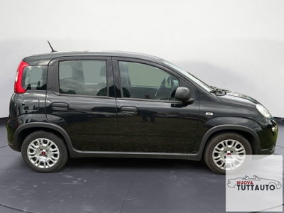 Fiat Panda Cross Cross 1.0 FireFly S&S Hybrid (6)