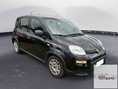 Fiat Panda Cross Cross 1.0 FireFly S&S Hybrid (7)