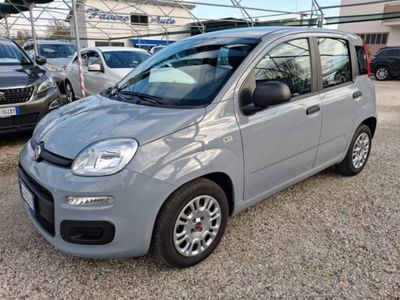 Fiat Panda 1.0 firefly hybrid s&s 70cv 5p.ti usata