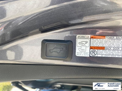 Toyota Rav4 D-4D 2WD Lounge (13)