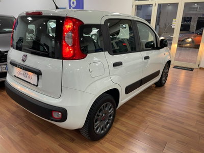 Fiat Panda 1.3 MJT 95 CV S&S Easy (6)