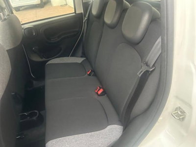 Fiat Panda 1.0 firefly hybrid s&s 70cv 5p.ti (6)