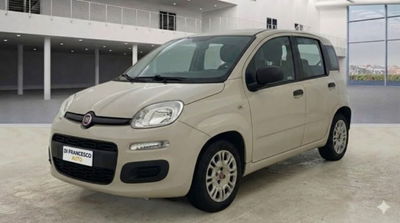 Fiat Panda 1.2 Easy usata