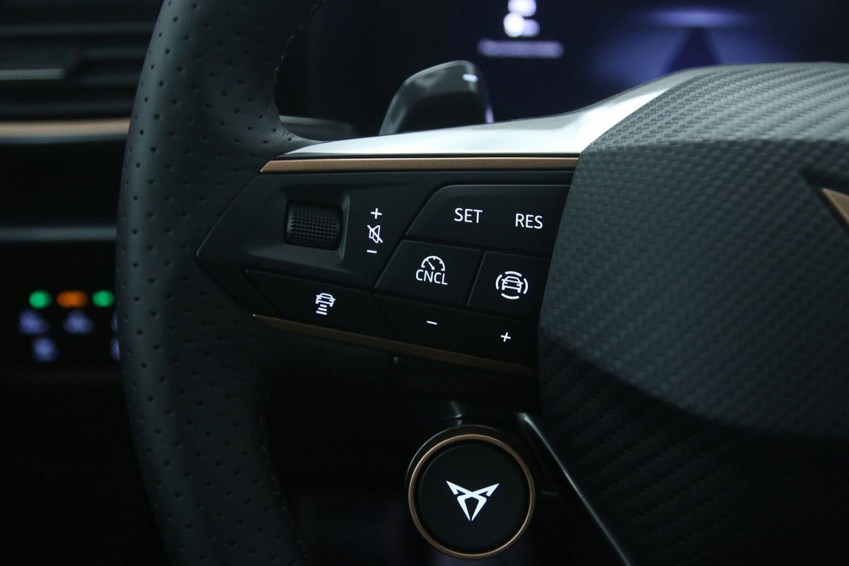Cupra Formentor Formentor 1.5 TSI (20)