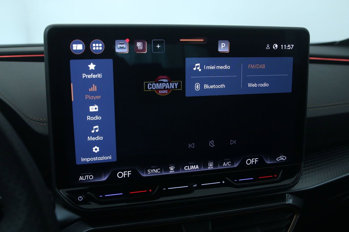 Cupra Formentor Formentor 1.5 TSI (16)