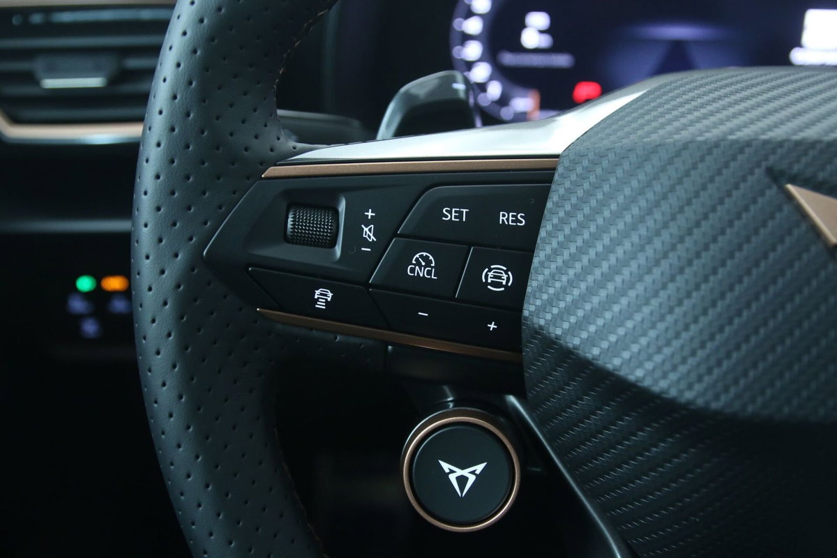 Cupra Formentor Formentor 1.5 TSI (19)