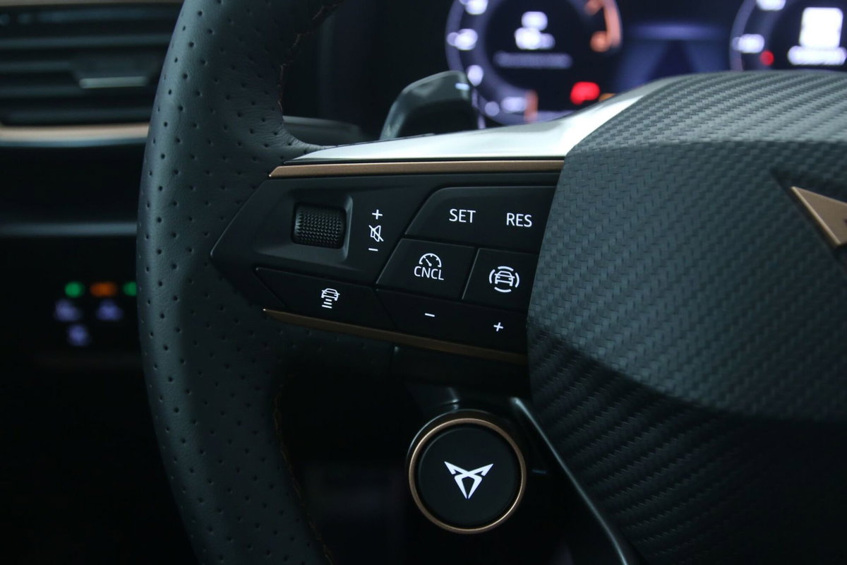 Cupra Formentor Formentor 1.5 TSI (20)