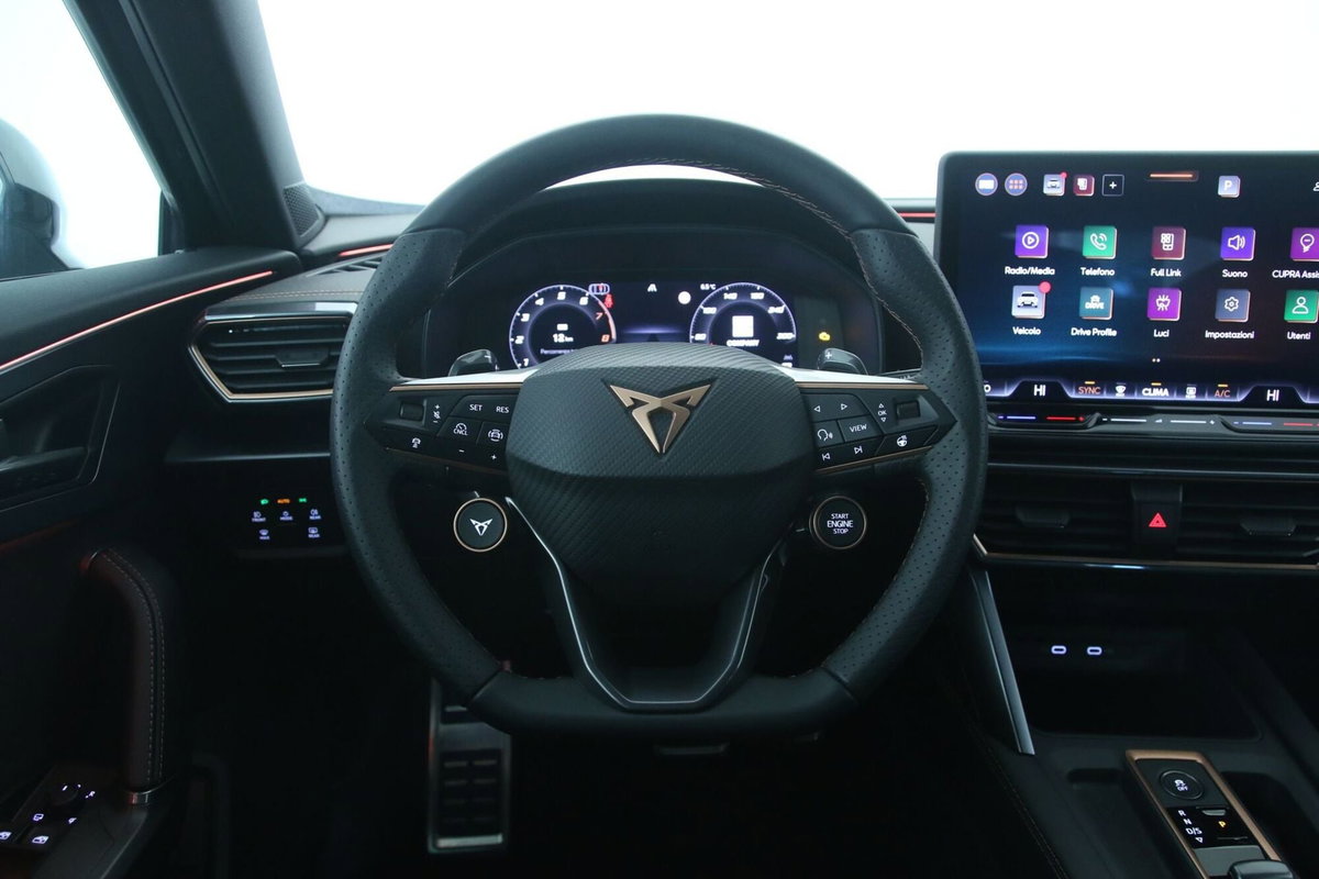 Cupra Formentor Formentor 2.0 TDI (10)