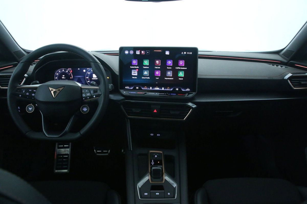 Cupra Formentor Formentor 2.0 TDI (9)
