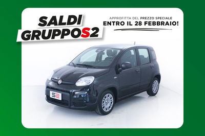 Fiat Panda 1.0 FireFly S&S Hybrid City Cross nuova