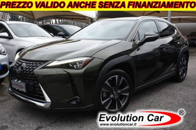 Lexus UX Full Electric Luxury usata